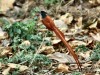 DSC_26071865.jpg