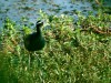DSC_27001940.jpg