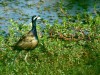 DSC_27031943.jpg