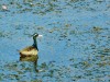 DSC_27121952.jpg