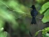 DSC_30102230.jpg