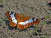 DSC_3320_f.jpg