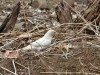 DSC_35852762.jpg