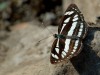 DSC_3718.jpg