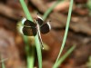 DSC_38222928.jpg