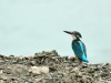 DSC_39923087.jpg