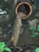 DSC_42403318.jpg