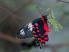 DSC_46203648.jpg