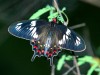 DSC_46243652.jpg