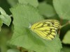 DSC_47893814.jpg