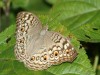 DSC_5482.jpg