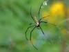 DSC_63681.jpg