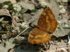 DSC_8283.jpg