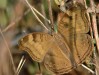 DSC_8964.jpg