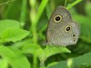 _DSC0114.jpg