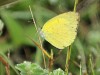 _DSC0283.jpg