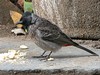 dscn0730_fk.jpg