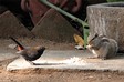 dscn0733_fk.jpg