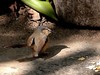 dscn0784_fk.jpg