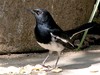 dscn0801_fk.jpg