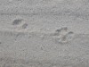 dscn2641_fk.jpg