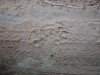 dscn2665_fk.jpg