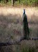 dscn2669_fk.jpg