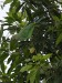 dscn3117_fk.jpg