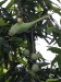 dscn3137_fk.jpg